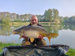 Competities HSV Alfheim